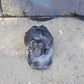 The Chimpanzee Awareness Cap - Rebelle Theory