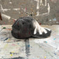Traffic Lights Painted Cap - Rebelle Theory
